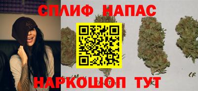 тгк Жуковский