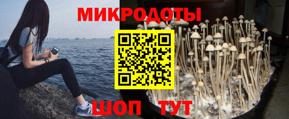 Псилоцибиновые грибы Magic Shrooms  Вход с VPN  Лыткарино 